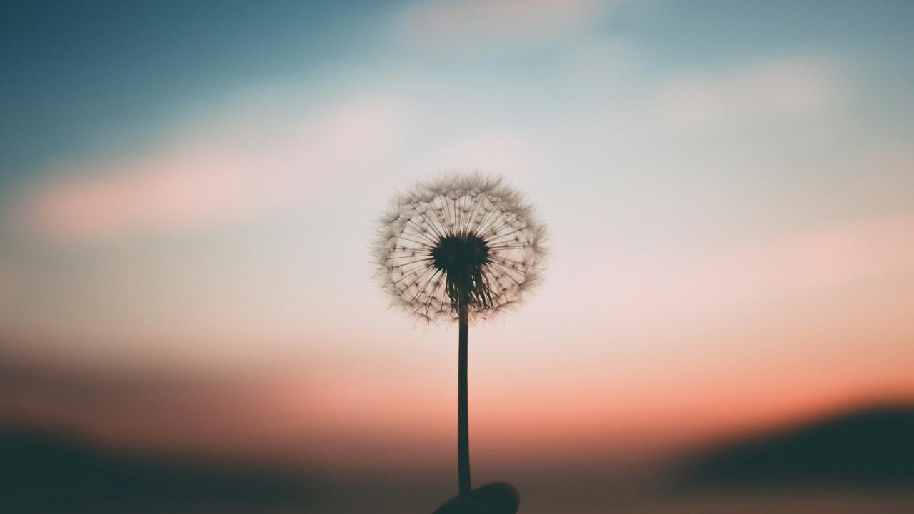 When Everything Fell Apart (And How I Put It Back Together)